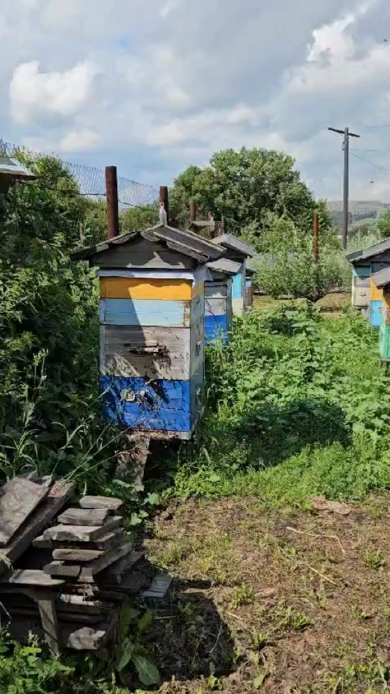 Видео о нашем мёде